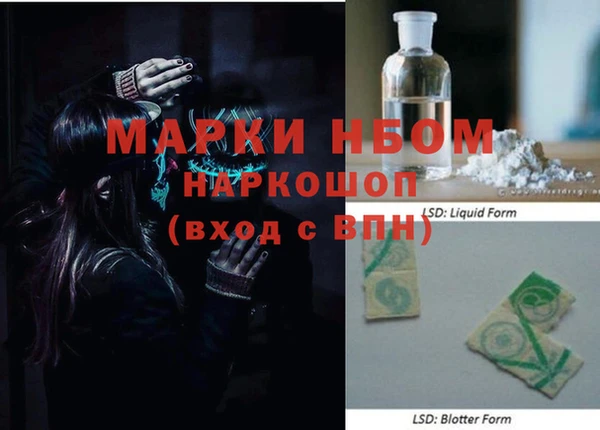 стаф Гусев