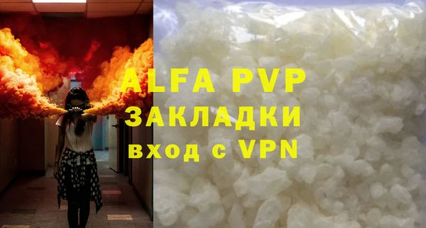 ПСИЛОЦИБИНОВЫЕ ГРИБЫ Гусиноозёрск