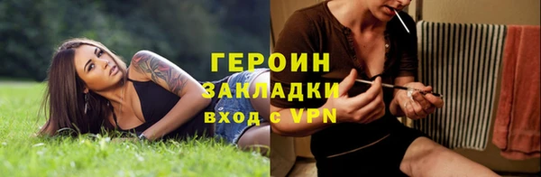 прущие грибы Вязьма