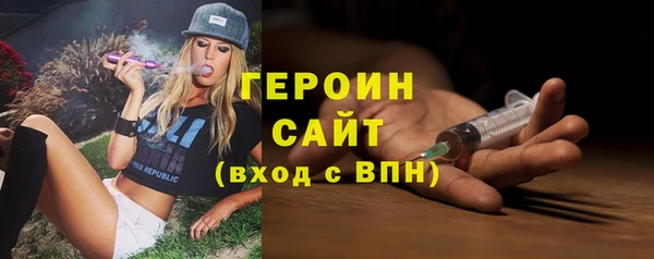 прущие грибы Вязьма