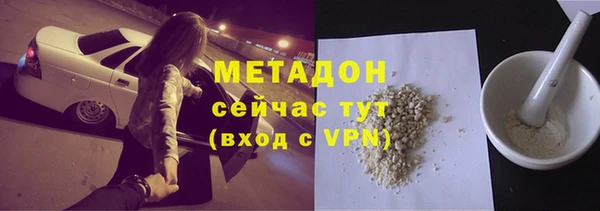прущие грибы Вязьма