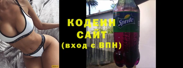 мдпв Горнозаводск