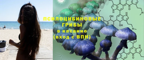 молекула духа Горняк