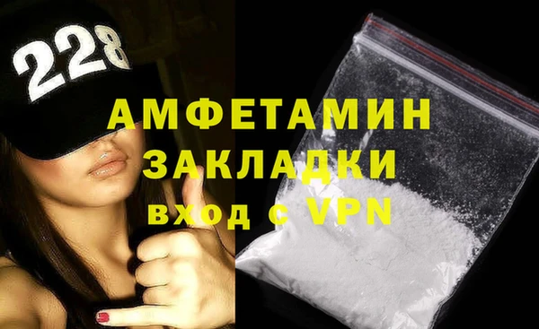 прущие грибы Вязьма