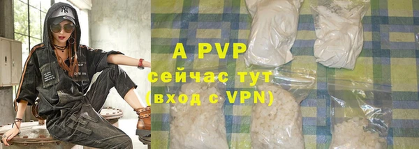 ПСИЛОЦИБИНОВЫЕ ГРИБЫ Гусиноозёрск
